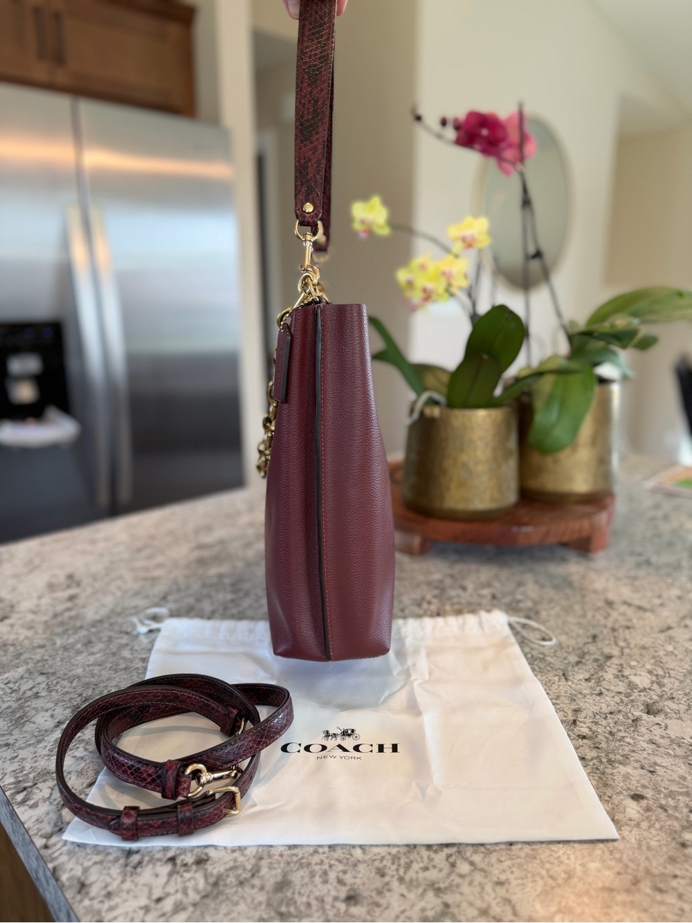 Coach Mollie Bucket (Style CC754) Wine and Python - Picture 3 of 8